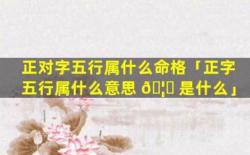 正对字五行属什么命格「正字五行属什么意思 🦟 是什么」